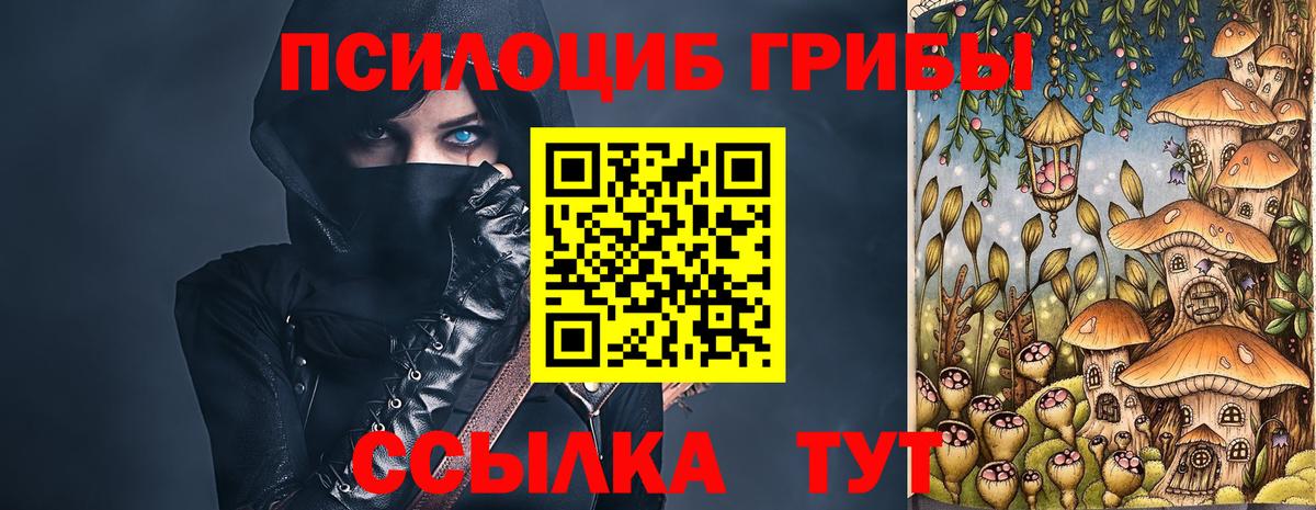 Псилоцибиновые грибы ЛСД  Галлюциногенные грибы Psilocybine cubensis  Семёнов  Вход с VPN 